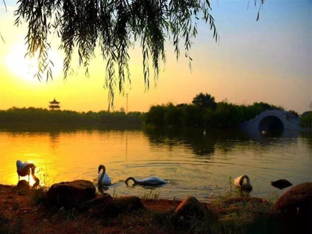 東昌湖風(fēng)景